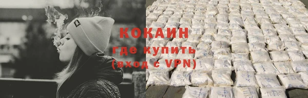 хмурый Арсеньев