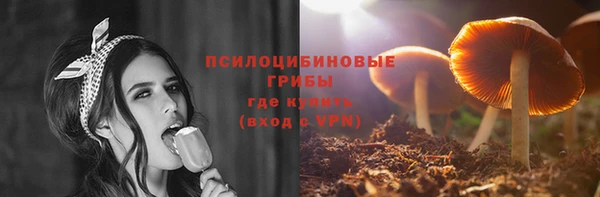 хмурый Арсеньев