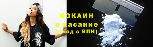 хмурый Арсеньев