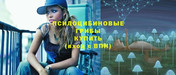 сатива Армянск