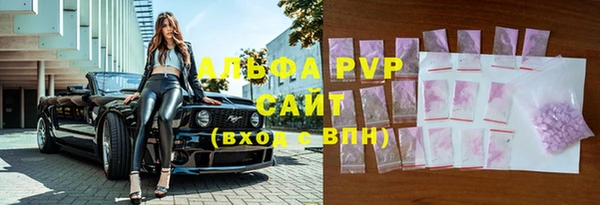 хмурый Арсеньев
